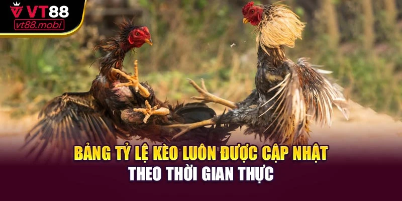 Bảng tỷ lệ kèo luôn được cập nhật theo thời gian thực