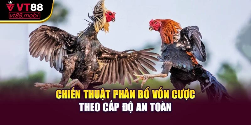 Chiến thuật phân bổ vốn cược theo cấp độ an toàn
