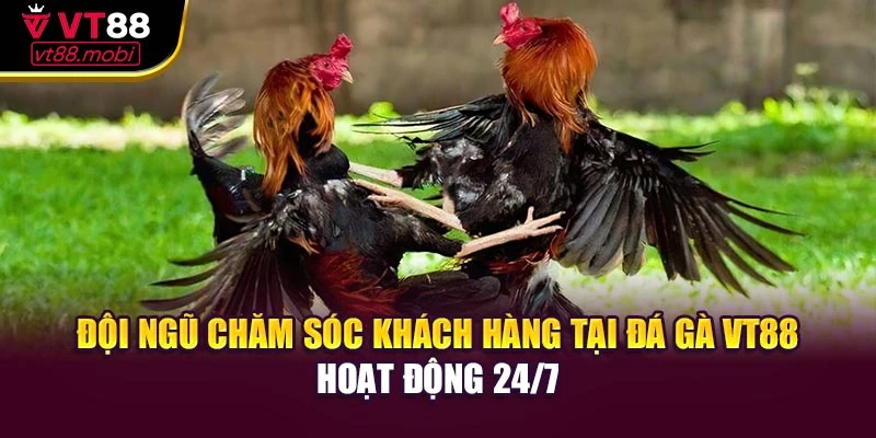 Đội ngũ chăm sóc khách hàng tại đá gà VT88 hoạt động 24/7
