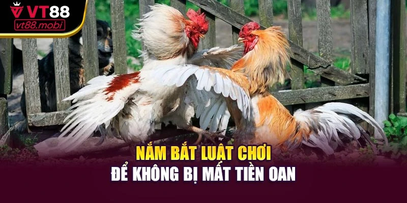 Nắm bắt luật chơi để không bị mất tiền oan
