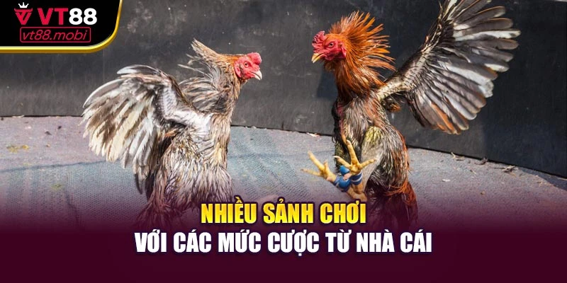 Nhiều sảnh chơi với các mức cược từ nhà cái