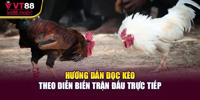 Hướng dẫn đọc kèo theo diễn biến trận đấu trực tiếp