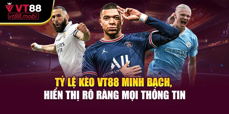 Tỷ lệ kèo VT88 minh bạch, hiển thị rõ ràng mọi thông tin